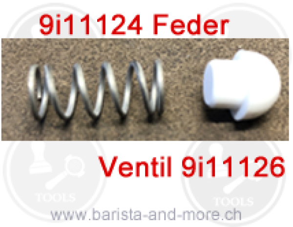 Feder zu Nachtropfventil Silicon